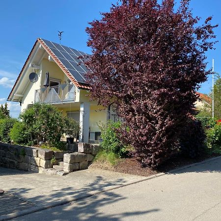 Ferienwohnung Messmer Mit Terrasse Heiligenborn 외부 사진